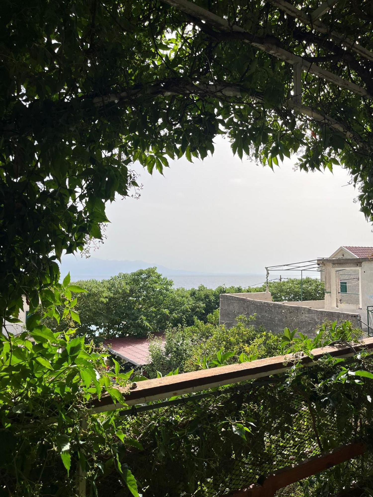Apartmani Ankora Brist Camera foto